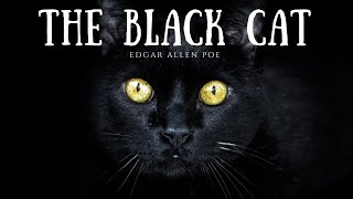 The Black Cat A Tale of Madness amp Murder [upl. by Ellitnahc925]