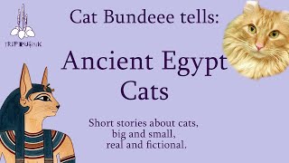 Cats in Ancient Egypt Hieroglyphs and Numerals Gods and Cats Cambyses [upl. by Lunna]