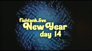 Fishtank Digest Season 2 Day 14 New Year RecapReupload [upl. by Eiramave345]