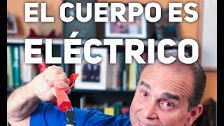 Episodio 1230 El Cuerpo Es Eléctrico [upl. by Schroder293]