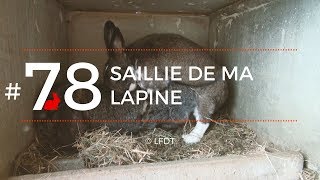 SAILLIE DE MA LAPINE │LFDT 78 [upl. by Lledal]