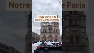 La restauration de NotreDame de Paris  Démonstration patrimoine [upl. by Ocana706]