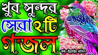 খুব সুন্দর সকলের মন জয় করা সেরা দুইটি গজল  new islamic song  new gojol bangla  bangla gojol  গজল [upl. by Falconer680]