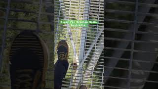 Otway Fly Treetop Walk Australia View as you look down [upl. by Hgielrebmik]