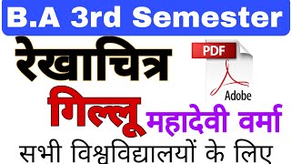 गिल्लू रेखाचित्र 💥 Ba 3rd SemesterGillu Rekhachitra  Gillu kahani  Unique Gyan [upl. by Monte]