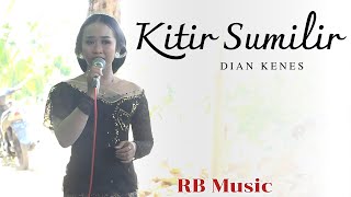 KITIR SUMILIR  DIAN KENES  RB MUSIC CAMPURSARI  Banyuurip Senori Tuban 17 Agustus 2024 [upl. by Nahij]