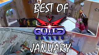 GUILD EAGLES  BEST OF JANUARY [upl. by Nitsir]