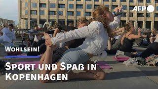 Im Bier und Jetzt BierYoga  AFP [upl. by Goldfinch]