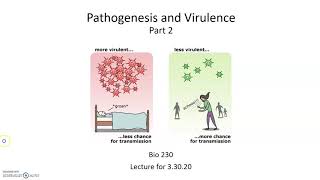 Pathogenesis and Virulence Virulence Factors [upl. by Philine368]