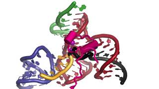 RNA Splicing by the Spliceosome Supplemental Video 4  Spliceosome activation [upl. by Eatton858]