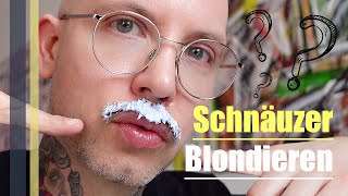 Blondierter Schnäuzer – Kann das was Mein Schnurrbart Blondier Experiment  GREY YOUNG [upl. by Silda656]