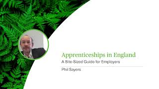 Apprenticeships in England  A BiteSized Guide for Employers  Webinar [upl. by Naji]