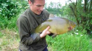 Tench Fishing  11lb 1 oz Tench [upl. by Rois]