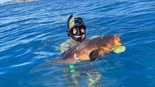 PESCA SUB Catture di fine estate by Salvimar Spearfishing SalvimarOfficial [upl. by Kulda]