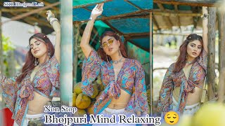 Mind Relaxing Bhojpuri Songs Lofi Slowed ❌ Reverb SKR Bhojpuri Lofi I Non Stop Songs [upl. by Editha]