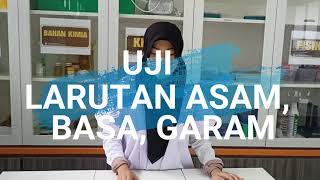 Uji Asam Basa Garam dengan Indikator Buatan Kertas Lakmus amp Indikator Universal [upl. by Gearard]