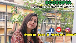 What is Photic zone ampAphotic Zone [upl. by Nairot]