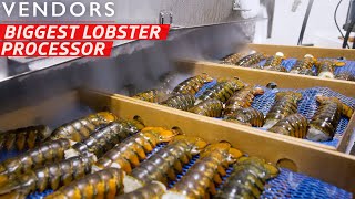 How the Largest Lobster Company in Maine Processes Over 600000 Pounds per Week — Vendors [upl. by Ydur]