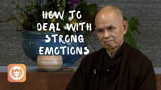 How to Deal with Strong Emotions  Thich Nhat Hanh short teaching video [upl. by Eilata377]