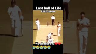 Australian cricketer Philip huges death match 😭😭ytshorts shorts freeze death [upl. by Eugenia]