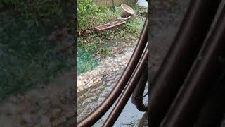 atm flood heavyrain japan kanto area weather update asmr subscribe [upl. by Cailean938]