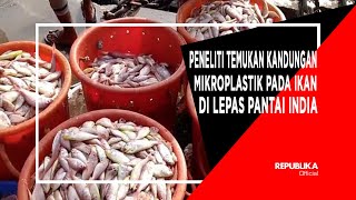 Peneliti Temukan Kandungan Mikroplastik Pada Ikan di Lepas Pantai India [upl. by Cleary511]