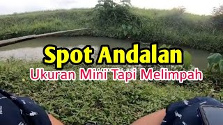 Siapa Sangka Sungai Sekecil Ini Banyak Ikan Wadernya  mancing fishing wader [upl. by Aurora]