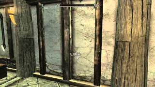 Skyrim  Lakeview Manor Bug [upl. by Drofdarb]