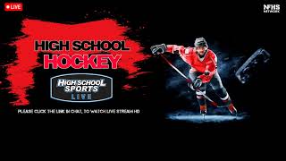 Edina vs Minnetonka Live Stream  High School Girls Hockey 1272024 [upl. by Naivaf]