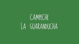 Campeche  La Guaranducha Audio [upl. by Adnilab]