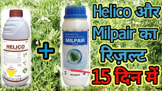 Helico Insecticide OR Milpair Fungicide का रिज़ल्ट 15 दिन में [upl. by Appleby]