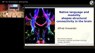 CogSci Diversity Workshop 2024 Anwander quotNative language and modality shapes structural  quot [upl. by Akiemehs]