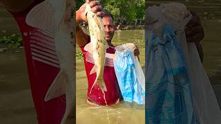 Fishing video  Monster Big Fishing by Village Fisherman with Polo shorts [upl. by Ianaj541]