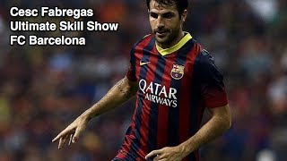 Cesc Fabregas  Ultimate Skill Show  FC Barcelona  HD [upl. by Brinkema400]