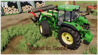 LS22 Wood is Good 18 fs22 ls22 farmingsimulator22 [upl. by Merl495]