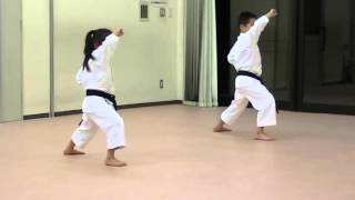 Heian Shodan [upl. by Kelcy]