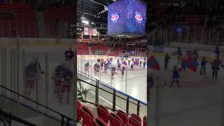 Vålerenga Ishockey oslo [upl. by Aidni]