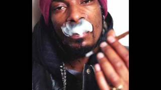 Snoop Dogg  Boss Life Instrumental [upl. by Thorin]