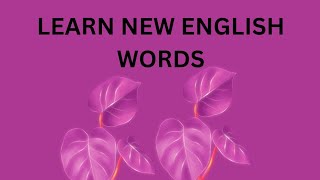 Learn English Words [upl. by Dino]