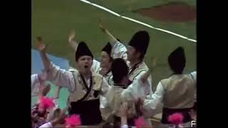 1974  Opening Ceremony World Cup Football in Frankfurt  BULGARIA 742 [upl. by Ivo]