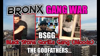 Bronx Gang War  A Bloods Story  Black Stone Gorilla Gang  The Godfathers Reckless Grizz Hood [upl. by Keene]