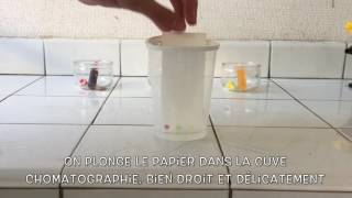 Chromatographie sur couche mince CCM de colorants alimentaires [upl. by Nylanaj]