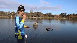 GoFish Nagambie Fishing Tips Casting to Standing Structure [upl. by Linder]