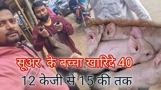 Assam pig and Meghalaya vlogs travel pig Skvlogs994 [upl. by Jameson]