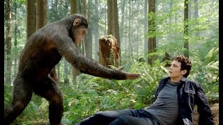 Alpha Omega Chant  Battle Cry Scene  War for the Planet of the Apes 2017LOWI [upl. by Yrmac]