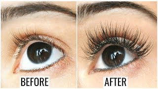 In Just 3 Days Grow Long and Thick Eyebrows Naturally  Get Thicker Eyebrows Permanently [upl. by Detta487]