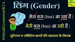 Hindi Grammar LING Gender Ling Badlo Examples पुल्लिंग व स्त्रीलिंग शब्दों की पहचान के नियम [upl. by Dlonra]