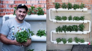 How To Make inexpensive Hydroponic System and start Hydroponics Garden At home 2021 [upl. by Kirsteni]