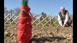 SEMIS DES LÉGUMES PRÉCOCES AU POTAGER COMMENT BIEN LES RÉUSSIR [upl. by Magdaia393]