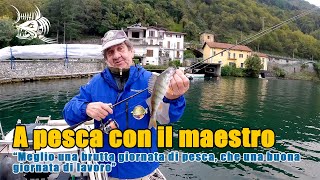 A pesca di persici con il Maestro Roberto Ropino  Diario del Pescatore [upl. by Nylekoorb]